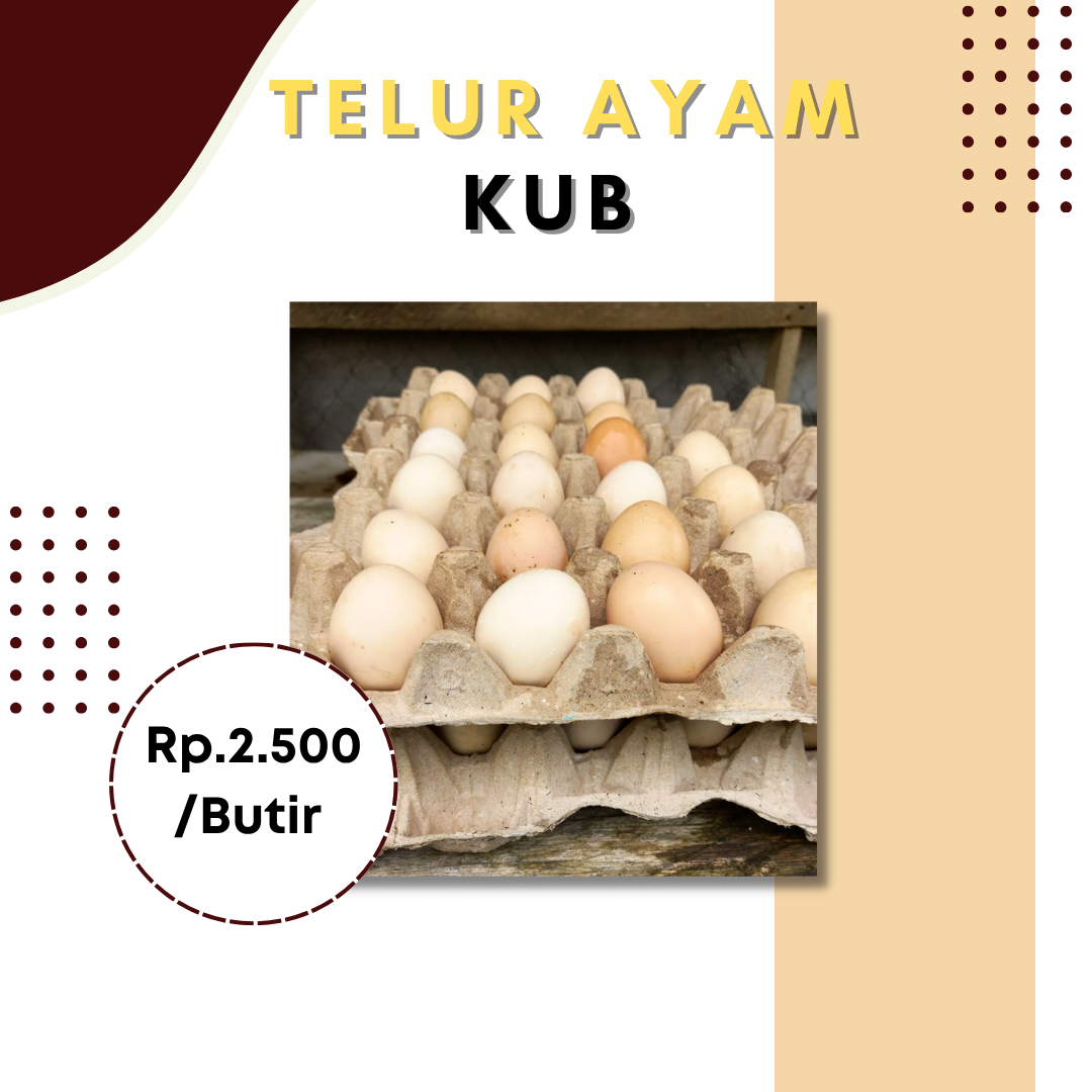 Telur Ayam KUB