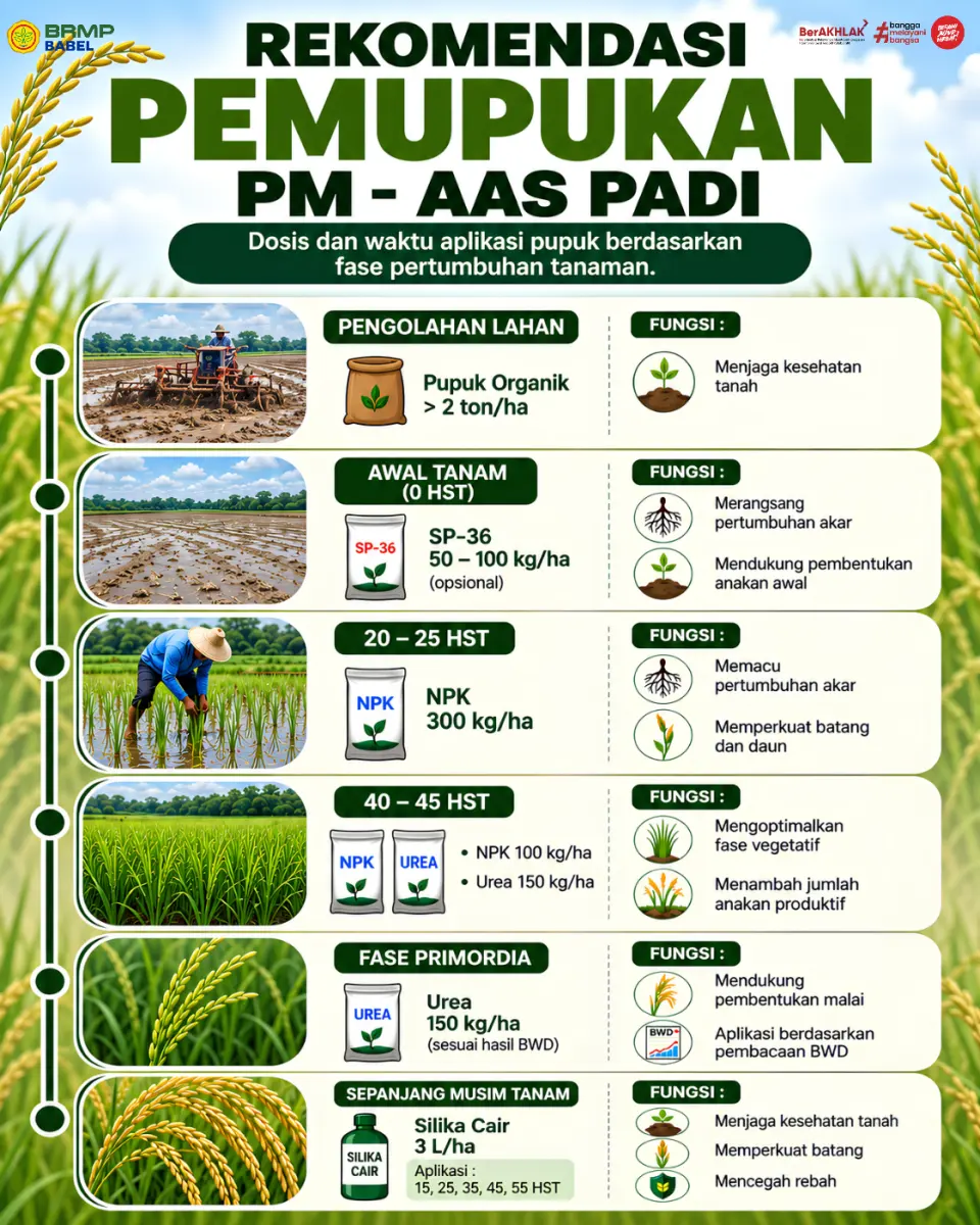 Rekomendasi Pemupukan PM-AAS