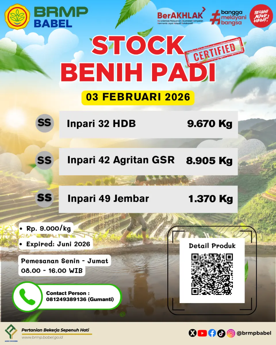 Informasi Stok Benih BRMP Bangka Belitung